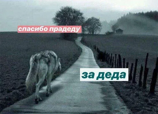 ya gnomik :: @fStikBot ya gnomik :: @fStikBot - мультфильм