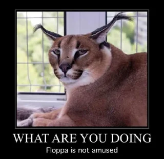 Big Floppa Big Floppa - mammal
