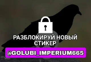 Стикер Голубь @GOLUBI_IMPERIUM665 @TgEmodziBo - 8