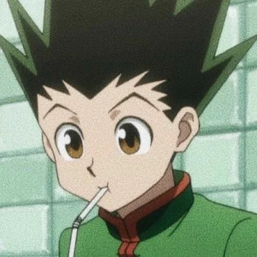 Gon freecss