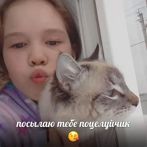 Стикер алоу :: @fStikBot - 5