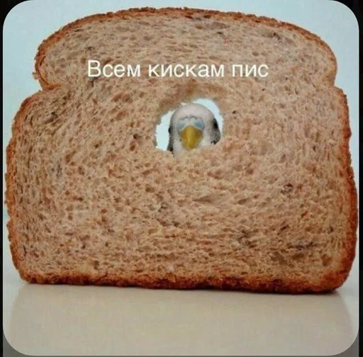 гулнурочка,да :: @fStikBot гулнурочка,да :: @fStikBot -
