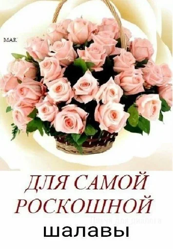 кайфарик by @fStikBot кайфарик by @fStikBot -