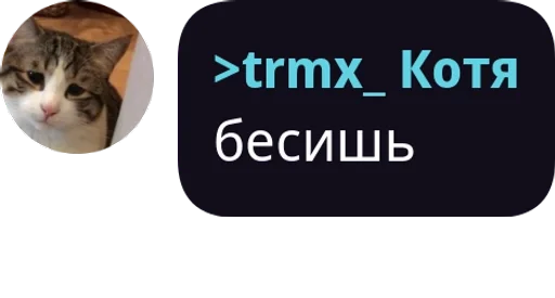 Sticker Проверка pack by @QuotLyBot - 10