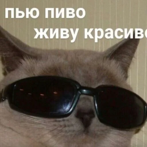 Больше стиков тут: @stikery4 Больше стиков тут: @stikery4 -
