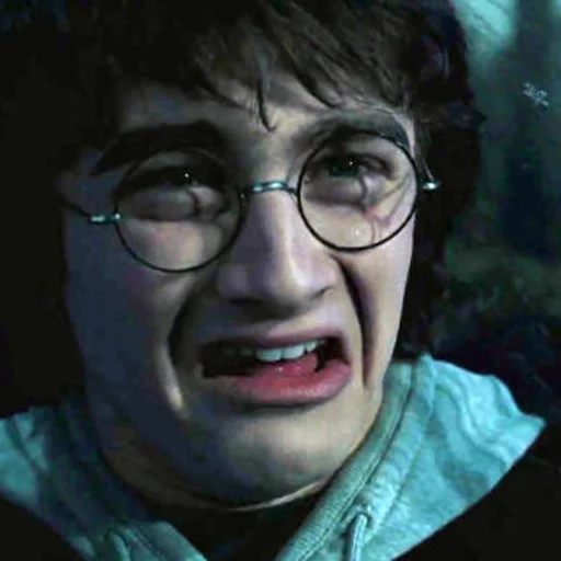 Harry Potter Harry Potter -