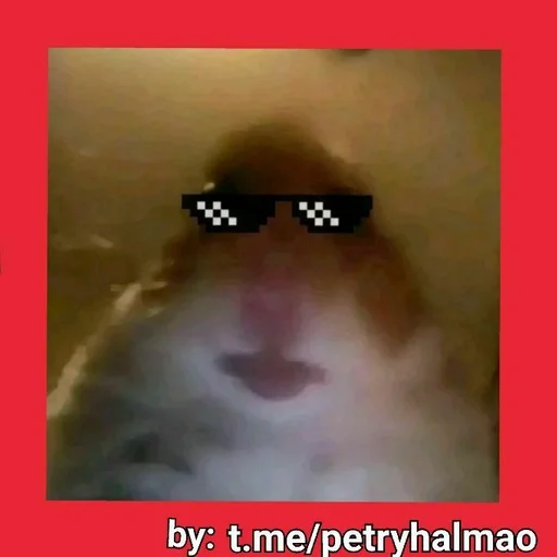 хомяг :: @fStikBot хомяг :: @fStikBot -