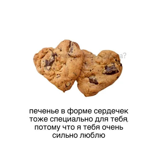 snack food cookie