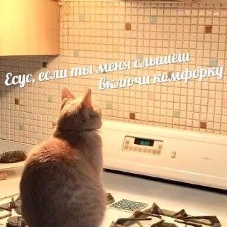 Sticker Помогите - 1