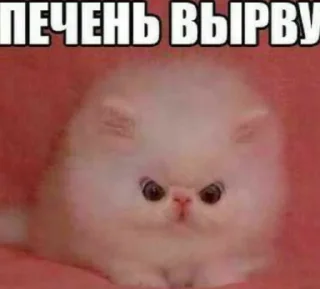 Sticker Помогите - 11