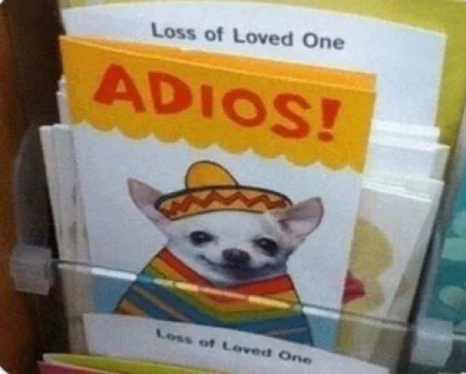 text text animal dog