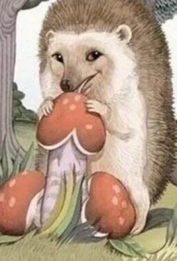 mammal mammal animal bear