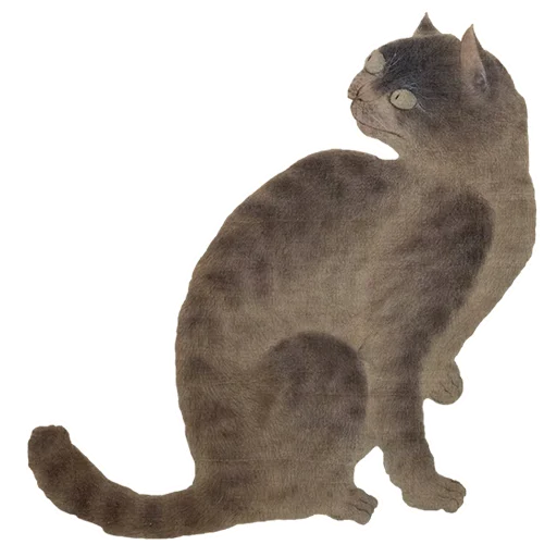 животное животное кошачьи кошка