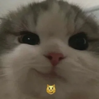 Стикер HIRUMO_memes - 9