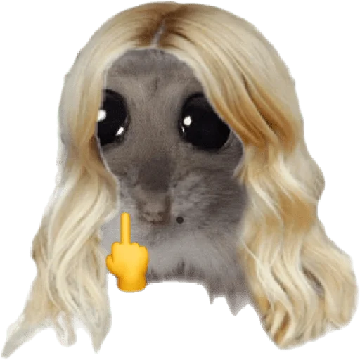 homyachkimalysha homyachkimalysha -