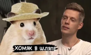 Стикер Хомяк в шляпе @SozdaiStickeriBot - 1 Стикер Хомяк в шляпе @SozdaiStickeriBot - 1
