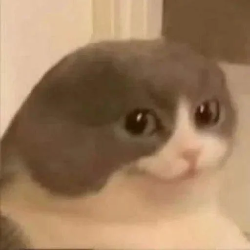 من حور🇷🇺 لـ لايت من حور🇷🇺 لـ لايت -