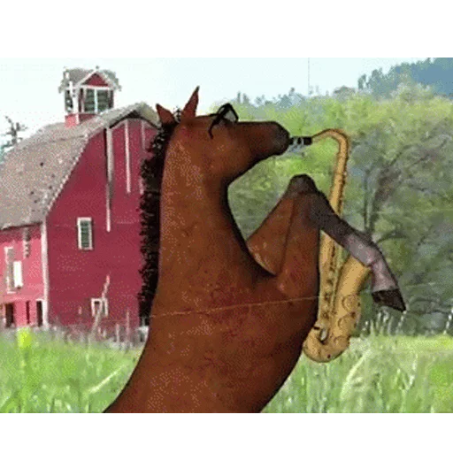horse memes horse memes -