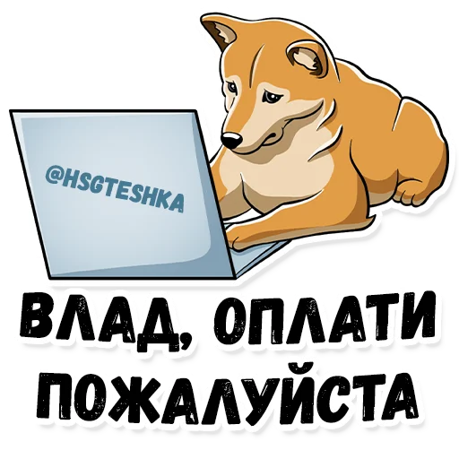 Hsgteshka Hsgteshka - animal