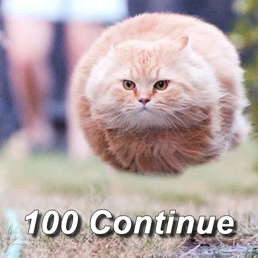 httpcat httpcat -