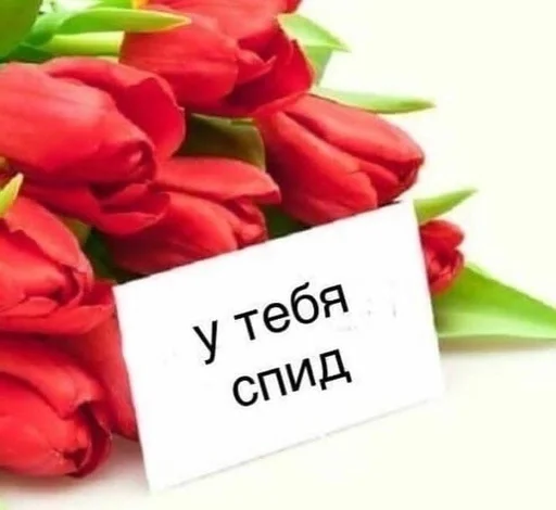 hueputalo :: @fStikBot hueputalo :: @fStikBot -
