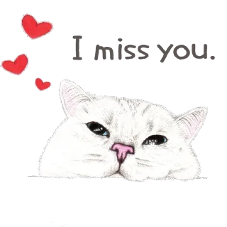 Sticker Hug me Pls - Iam your Cat @stickersb2b - 0