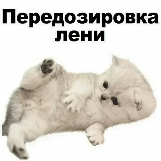 Больше стиков тут: @stikery4 Больше стиков тут: @stikery4 -