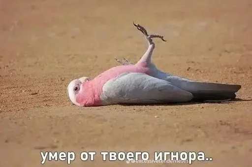 @Tarantasz_Tz @WmojiBot @Tarantasz_Tz @WmojiBot -