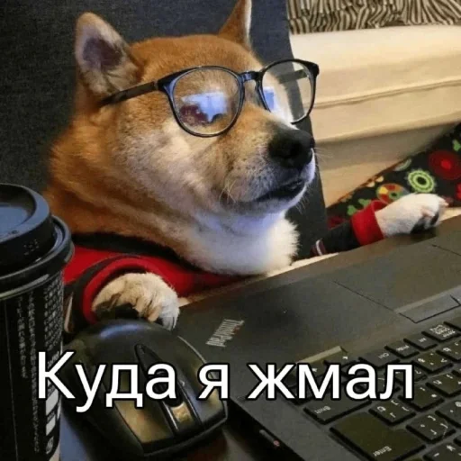 Больше стиков тут: @stikery4 Больше стиков тут: @stikery4 -