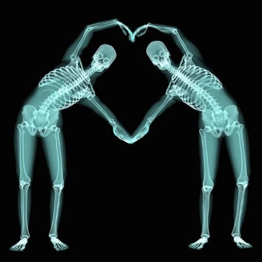 joint joint art x-ray film