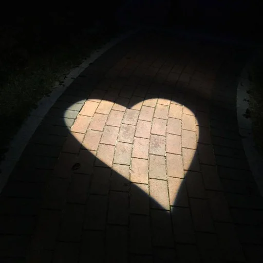shadow shadow light ground