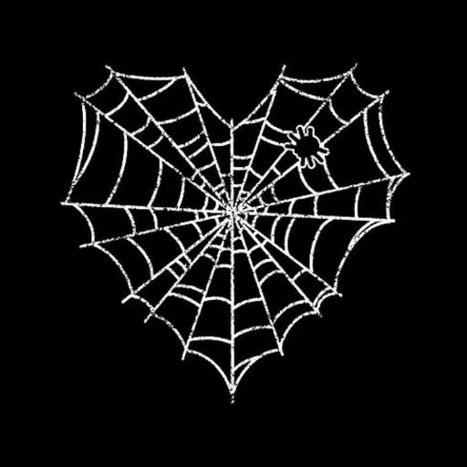 web web spider web