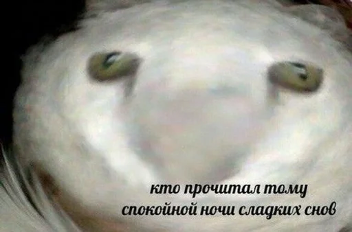 МАИНЕЗ by @fStikBot МАИНЕЗ by @fStikBot -