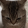 :3 :3 -