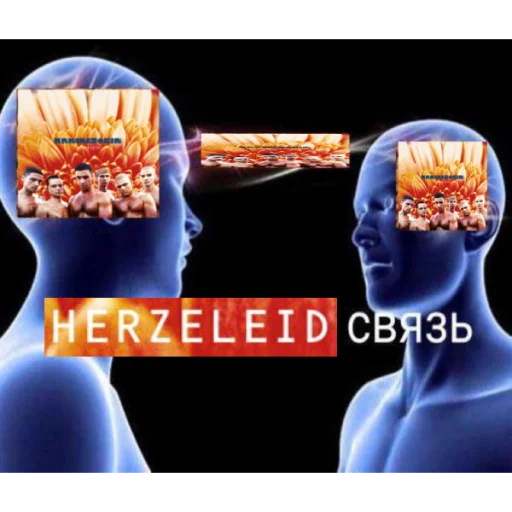 dosvyazi dosvyazi -