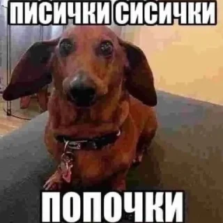 Стикер Я НЕ ЗНАЮ - 3