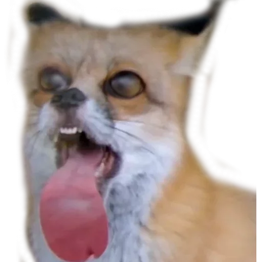 Favorite Sticker by @fStikBot Favorite Sticker by @fStikBot -