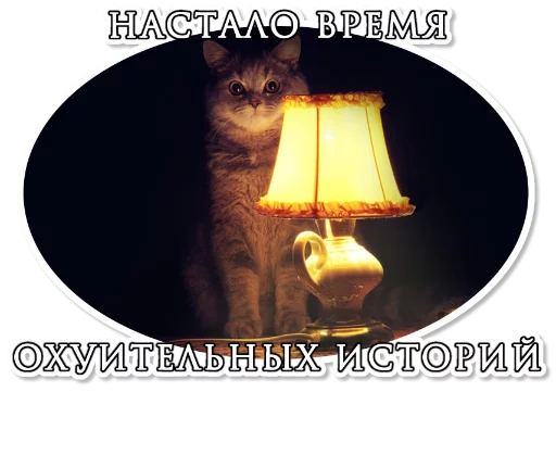 cat lamp animal
