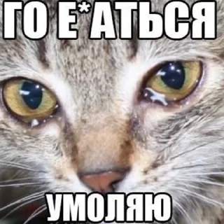 xyu by @fStikBot xyu by @fStikBot - СМС