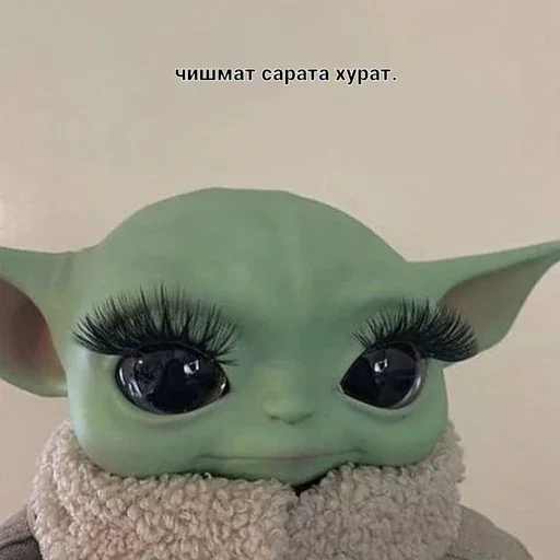 ilyou ilyou -