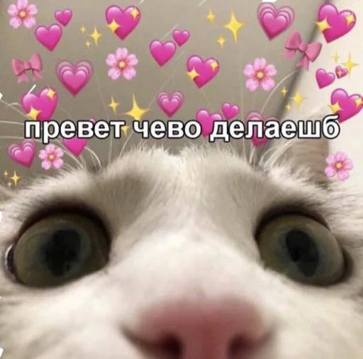 i love u 😩❤️ i love u 😩❤️ -