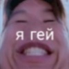 я гей я гей -