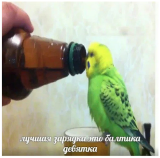 @sobaka96 бог тебя любит @sobaka96 бог тебя любит -