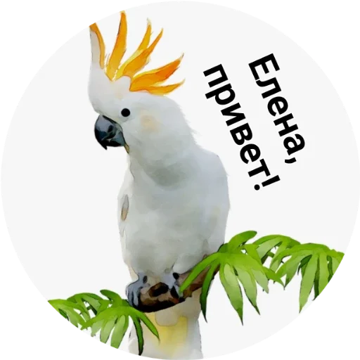 zoopark zoopark -