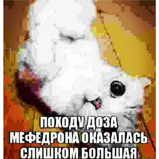 СМС СМС плакат графический дизайн