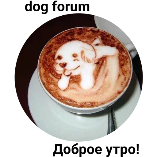 food beverage coffee