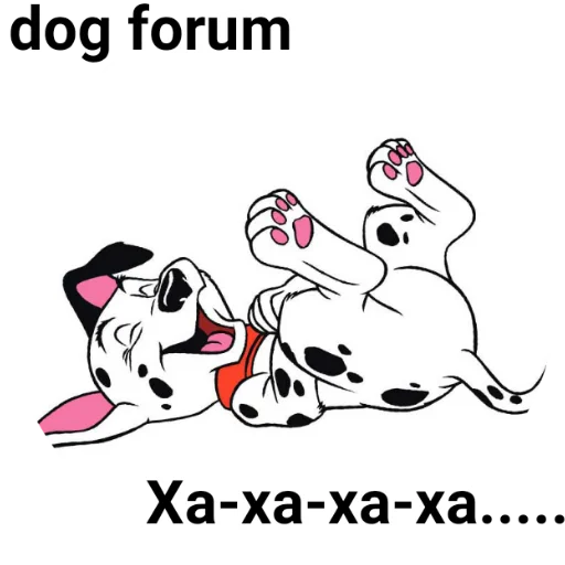 dog clipart mammal