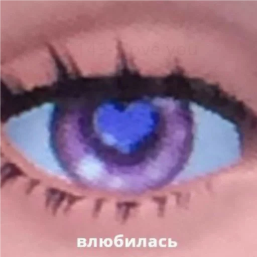 closeup closeup organ iris