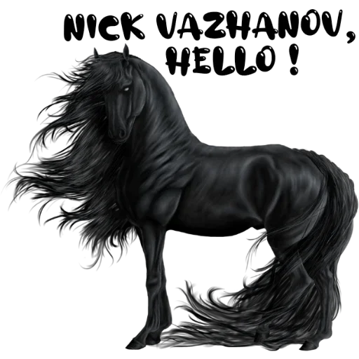 animal animal mammal horse