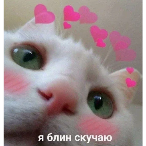 это мы(у нас любовь) это мы(у нас любовь) -